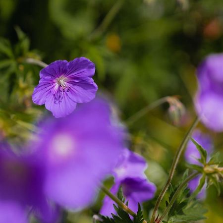 Oberlech750. Refugium Am Berg.公寓 外观 照片