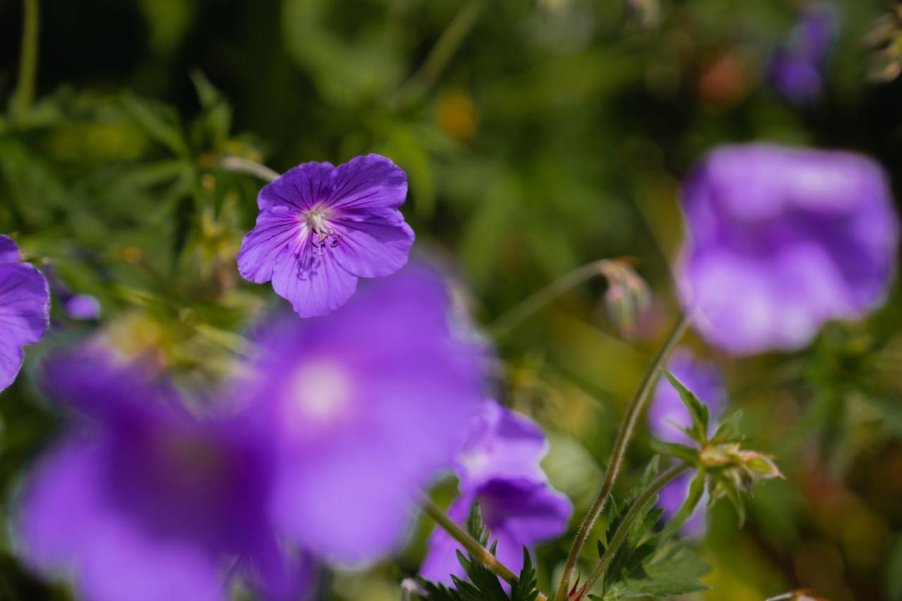 Oberlech750. Refugium Am Berg.公寓 外观 照片